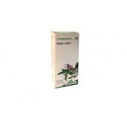 SPECCHIASOL Gemmosol 36 di Ribes Nero 50 ml